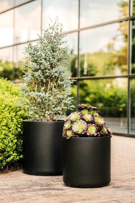 pure cilinder wheels 40 noir